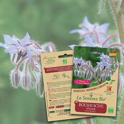 Graines de bourraches La Semence Bio sachet graines