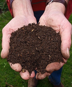 Les amendements organiques permettent de nourrir mes plantes et les organismes qui vivent dans le sol