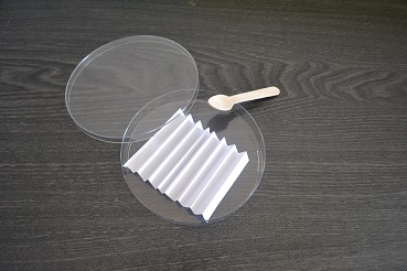 Boîte d'élevage pour observer les différentes étapes de la vie d'une coccinelle Boîte d'élevage pour observer les différentes étapes de la vie d'une coccinelle