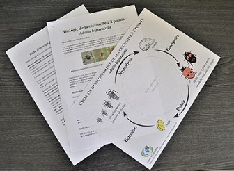 kit d'élevage notices