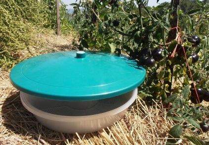 Notre piège à phéromone est spécialement conçu pour la mineuse de la tomate Le pîège a un diamètre d'environ 35 centimètres