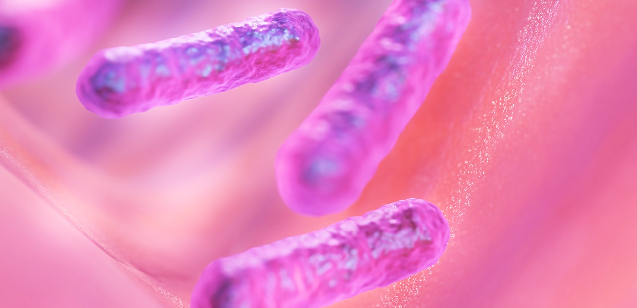Trois Bacilles de Bacillus amyloliquefaciens vus aumicroscope