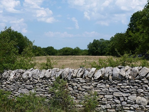 Un mur en pierres sèches est un site d'hibernation idéal pour les coccinelles