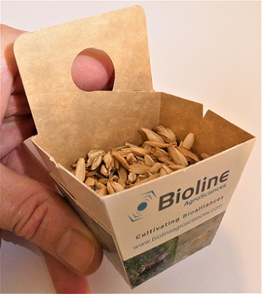 Les boîtes de lâcher permette de répartir facilement les larves de coccinelles à 7 points dans les rosiers ou autres plantes moins traçantes Boite de lâcher pour larves de coccinelles