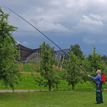 La lance telescopique permet de traiter les arbres en hauteur comme les palmiers, les platannes ou les arbres fruitiers.
