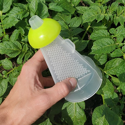 Cône grillagé du piège à punaises diaboliques Cône grillagé et entonnoir jaune du piège à punaises.