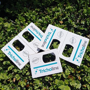 Les trichogrammes anti pyrale du buis sont des guêpes microscopiques qui parasitent les oeufs de pyales. Diffuseurs de trichogrammes anti pyrale du buis.