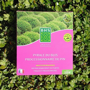 Insecticide biologique contre les chenilles de pyrale du buis. Traitement bio pour éliminer les chenilles de pyrale du buis.