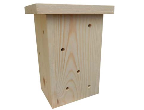 Ces petits hôtels à insectes constituent de véritables abris pour les chrysopes lorsque arrive la période hivernale Abri d'hiver pour les chrysopes prédateurs de tigres du platane.