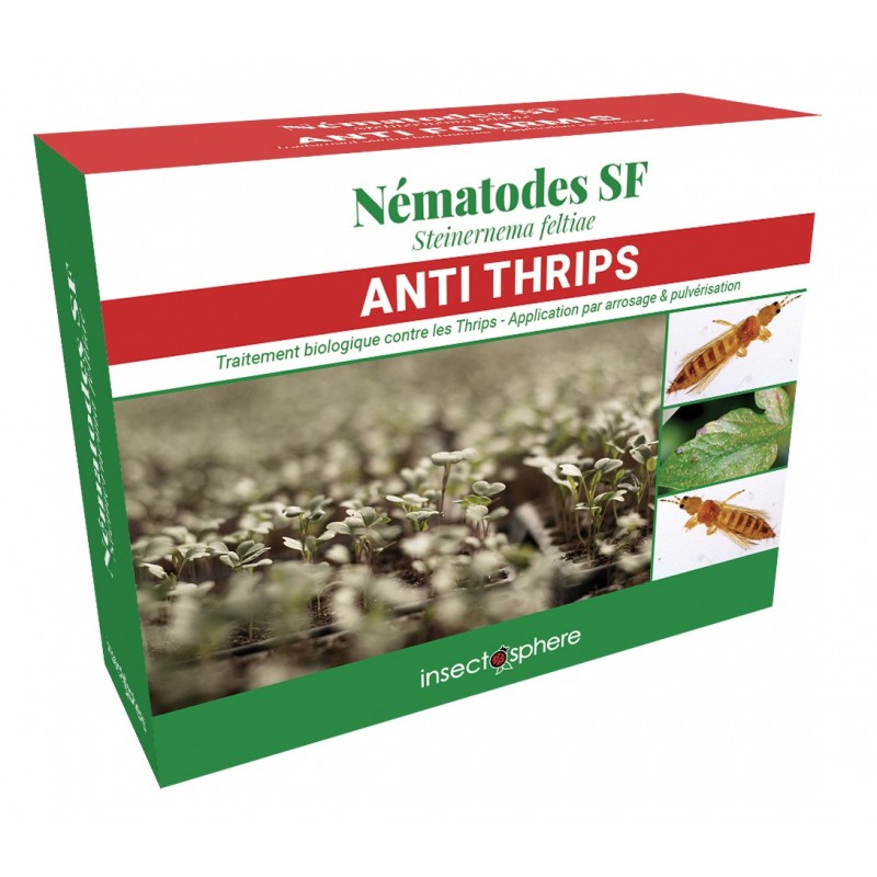 Les nématodes SF sont très efficaces pour contrôler les populations de thrips Les nématodes SF sont très efficaces pour contrôler les populations de thrips