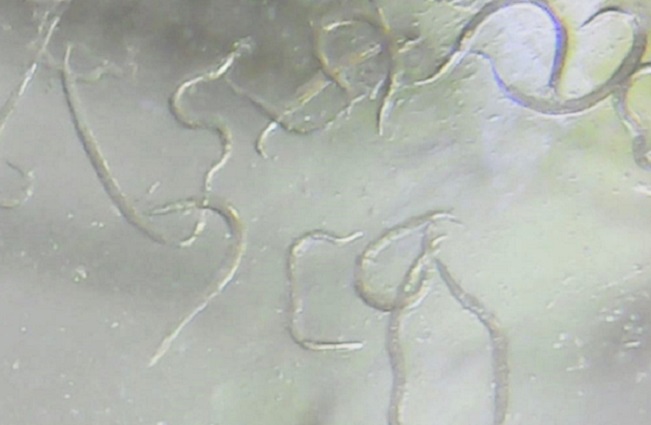 Utilisés à l'automne, les nématodes parasitent les larves de carpocapse des prunes qui passent l'hiver dans le sol. Pour réduire le nombre de prunes véreuses, utilisez des nématodes à l'automne.