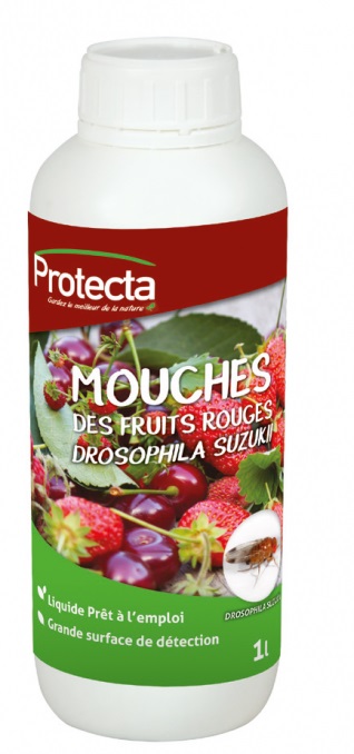 Bouteille d'attractif pour la mouche D. Suzukii Le format de la bouteille peut vous permet de faire une saison complète