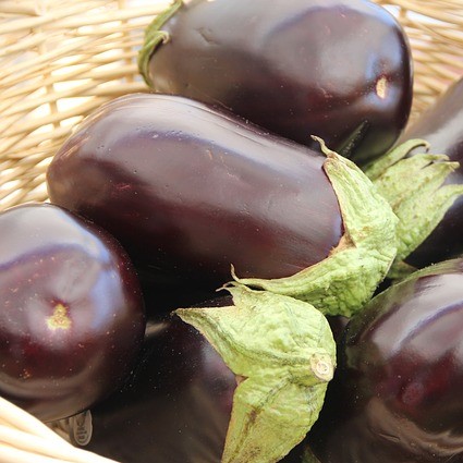 Dans nos régions, ce sont essentiellement les aubergines violettes qui sont les plus cultivées.