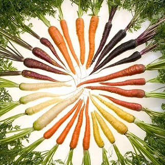 panel de carottes colorées