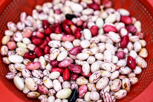 Les grains peuvent être de multiples couleurs