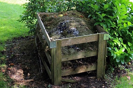 Accélérateur de compost : Astuces naturelles