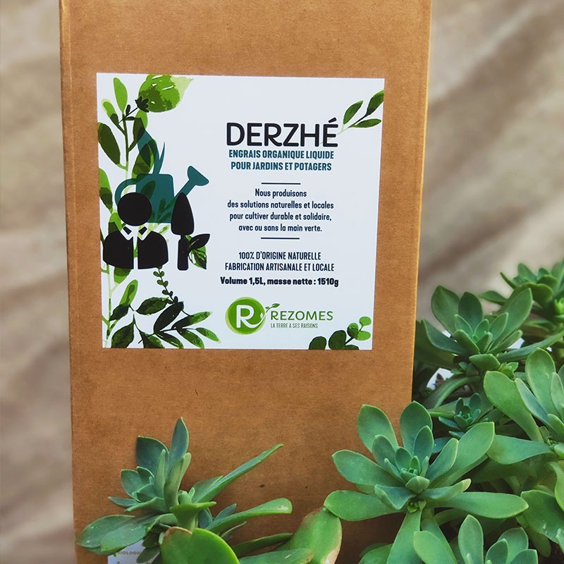 Engrais organique liquide Derzhé. Apportez un engrais organique liquide en même temps que les champignons et bactéries bénéfiques pour un effet synergique.